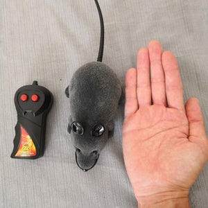 Hot RC Funny Wireless Electronic Remote Control Mouse Rat Pet Toy for Kids Gifts toy Remote Control Toys Mouse Drop Shipping